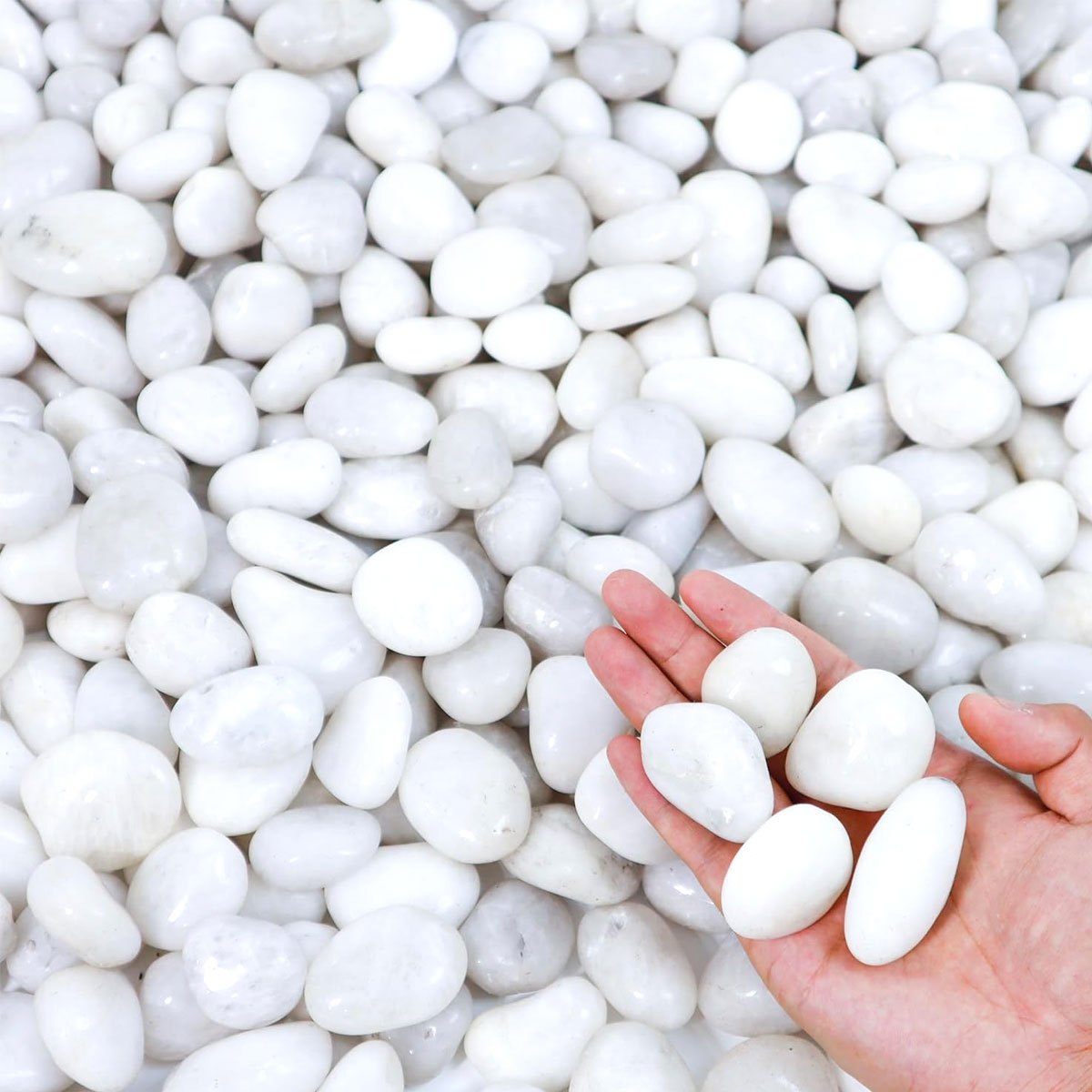 Aquarium Sand White - 400g Beyaz Cilalı Doğal Nehir Çakılları