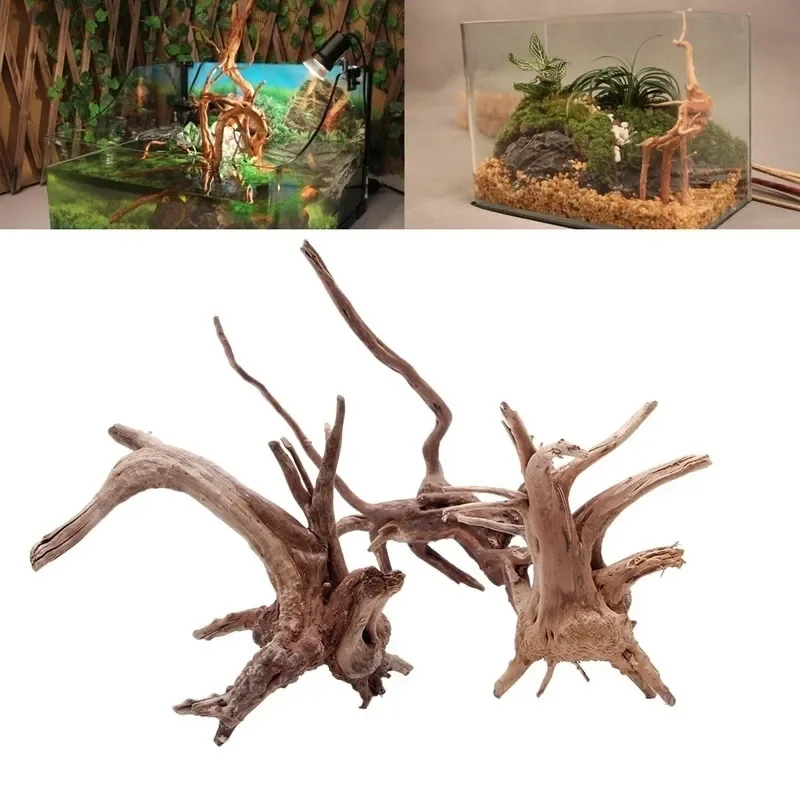 Aquarium Plant Live - Doğal ağaç gövdesi Driftwood akvaryum balık
