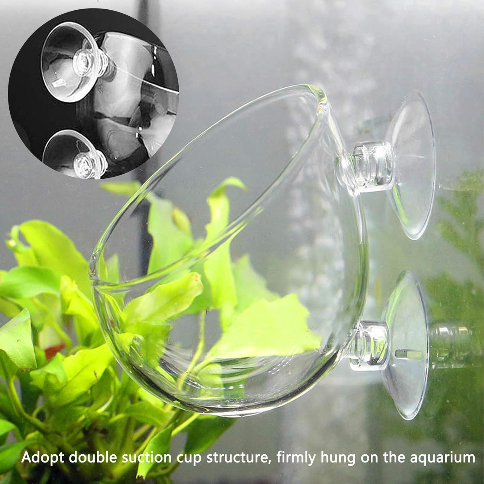 Aquarium Plant Vine - Vakumlu Bardaklı Akvaryum Cam Saksı, Canlı