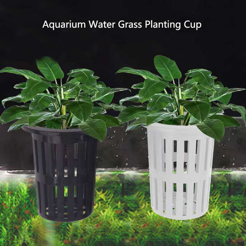 Aquarium Plant Live - 1/3 adet akvaryum bitki sepeti duvara
