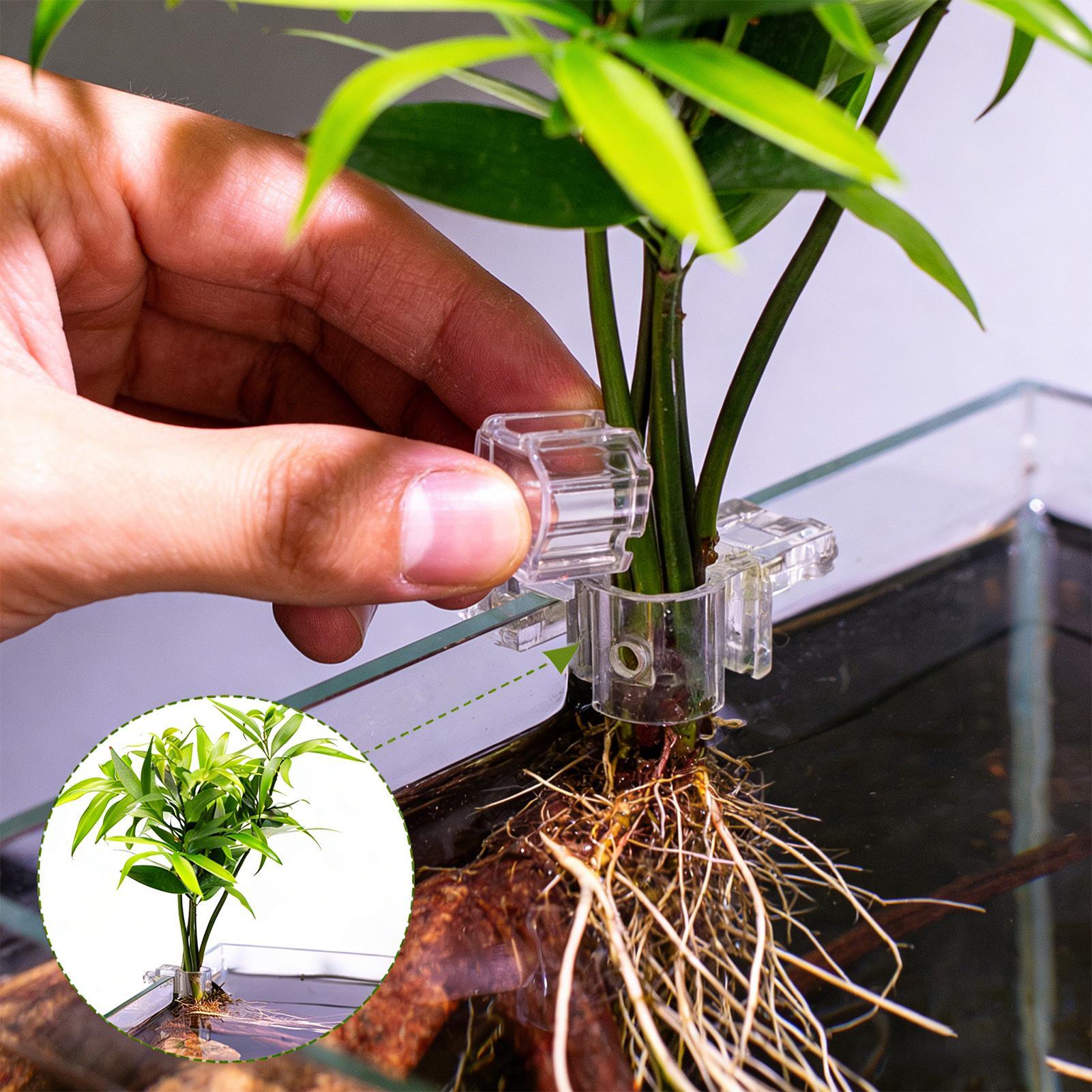 Aquarium Plant Live - 6 adet Akvaryum Bitki Tutucular Şeffaf