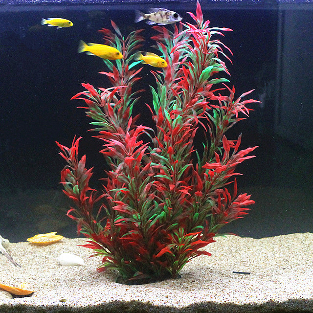 Planted Aquarium Equipment - 50 CM Yapay Balık Tankı Nadir