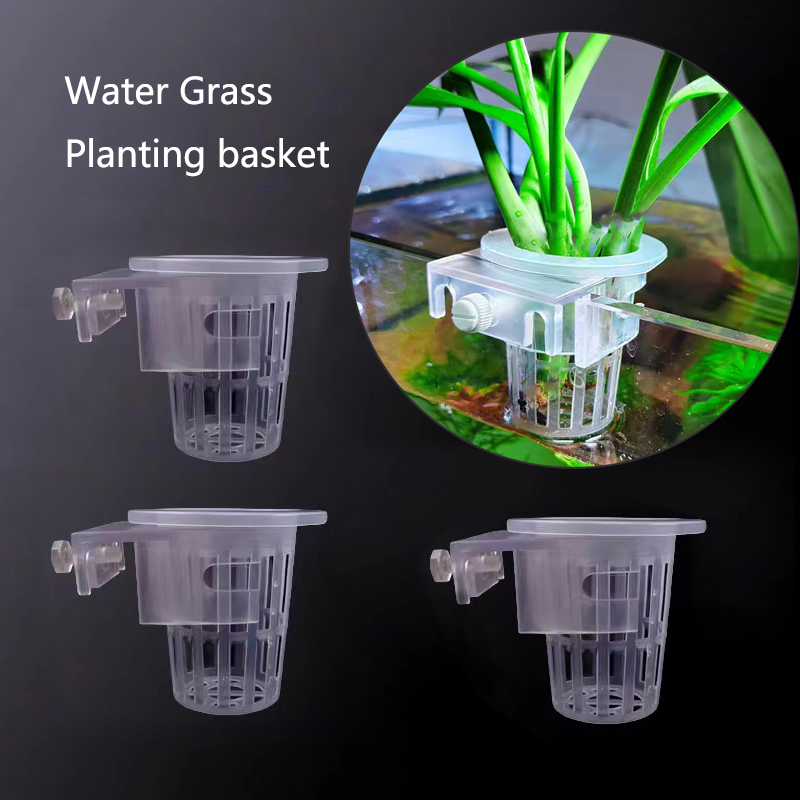 Aquarium Plant Live - Akvaryum dikim sepeti hidroponik destek Hangable
