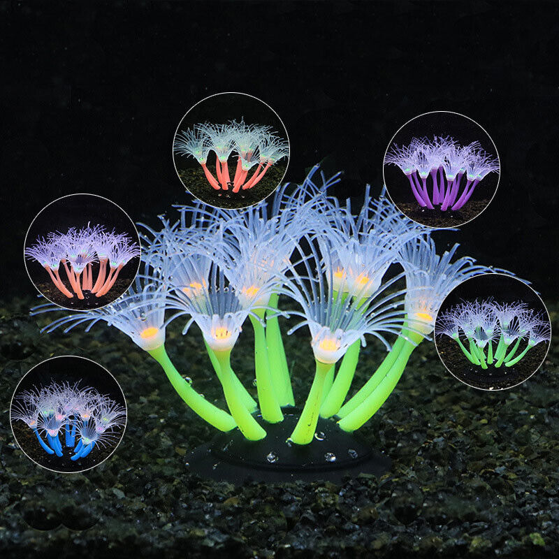 Silikon Parlayan Peyzaj Yapay  - Aquarium Plant Live incelemesi ve fiyatı