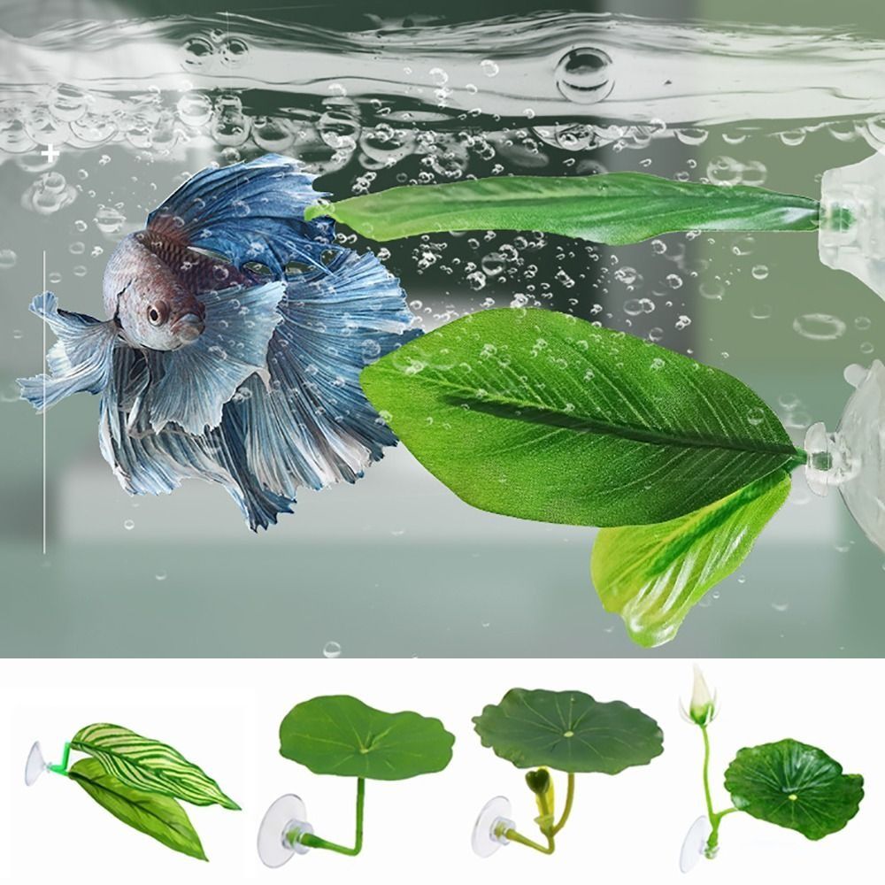 Plastik Betta Balığı Dinlenme  - Aquarium Plant Live incelemesi ve fiyatı