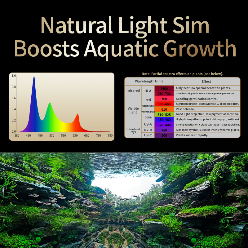 KASSRAY T200/T300 IR-A+UV Doğa - Planted Aquarium Uv Light incelemesi ve fiyatı