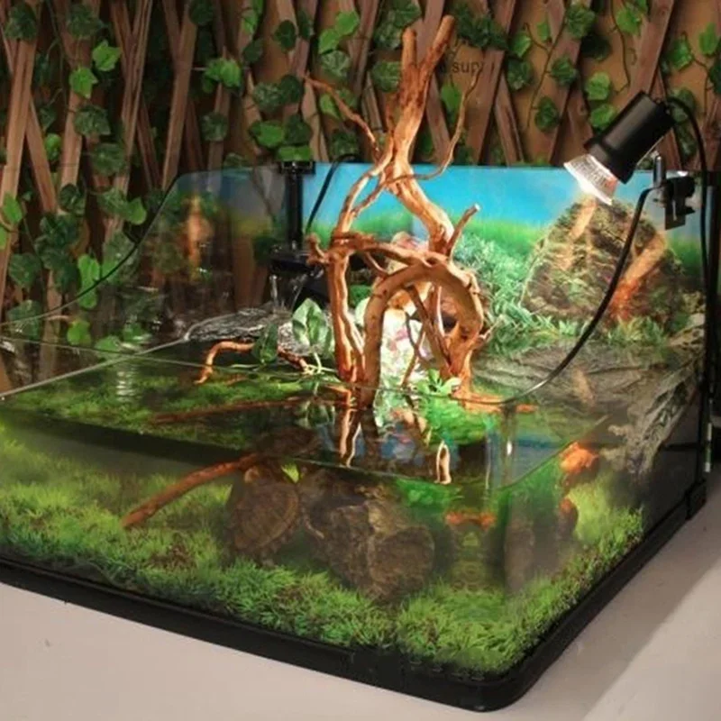 Doğal ağaç gövdesi Driftwood a - Aquarium Plant Live incelemesi ve fiyatı