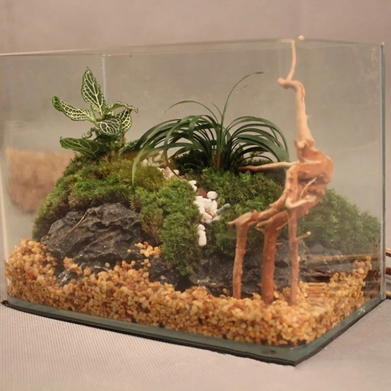 Doğal ağaç gövdesi Driftwood a - Aquarium Plant Live incelemesi ve fiyatı