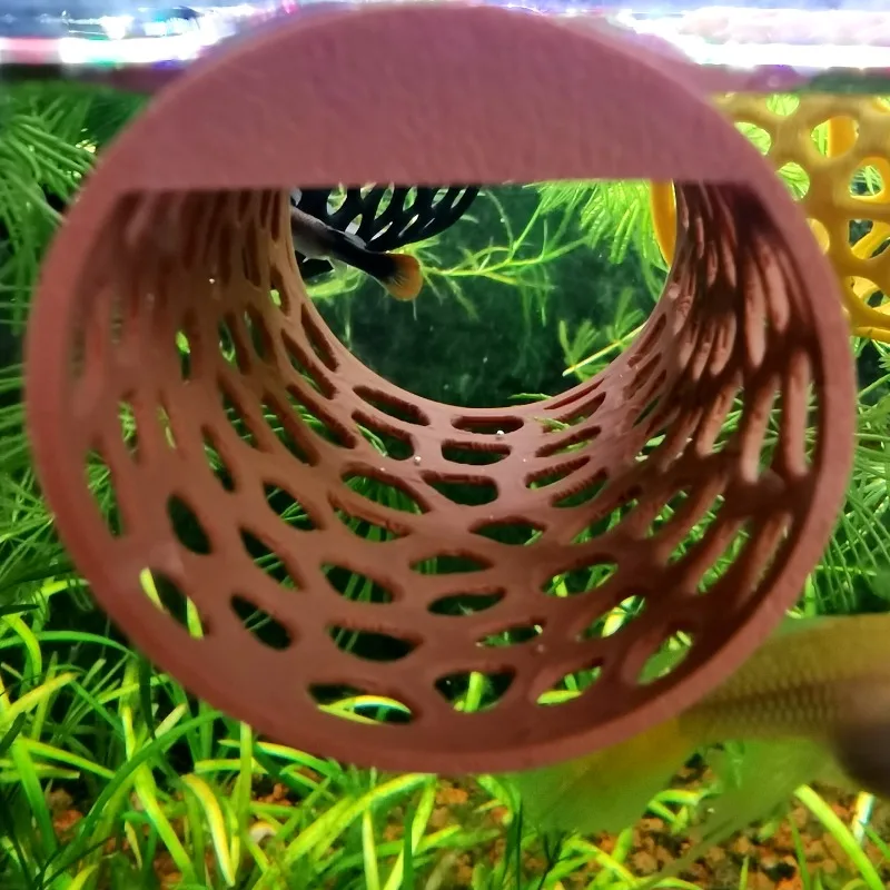 Yüzen Betta Hamağı Tüneli, Kar - Aquarium Plant Live incelemesi ve fiyatı
