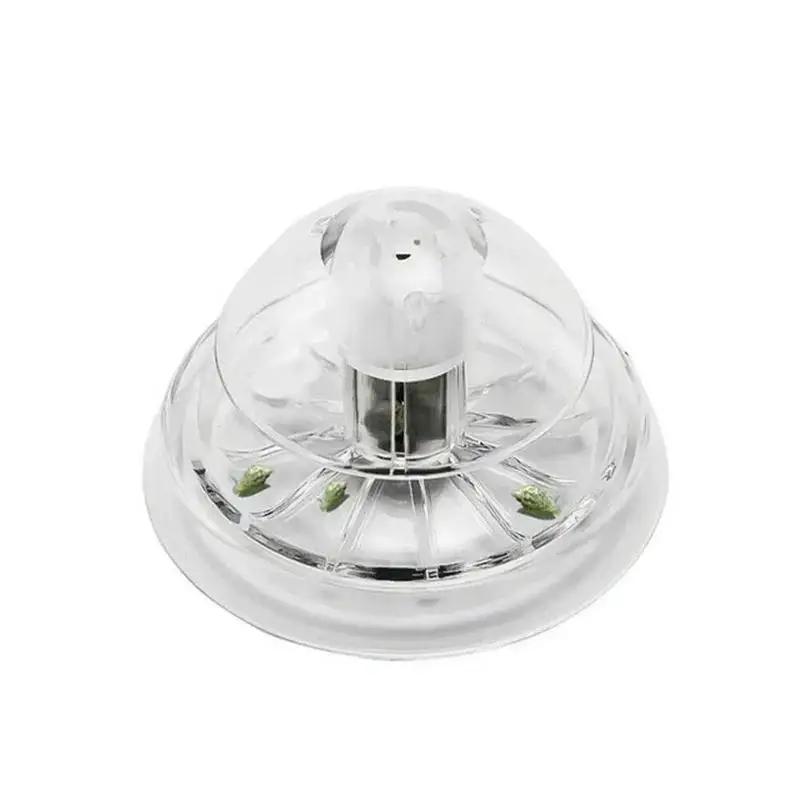 2026 Yeni 6/8CM Şeffaf Plastik - Aquarium Planted Aquarium incelemesi ve fiyatı
