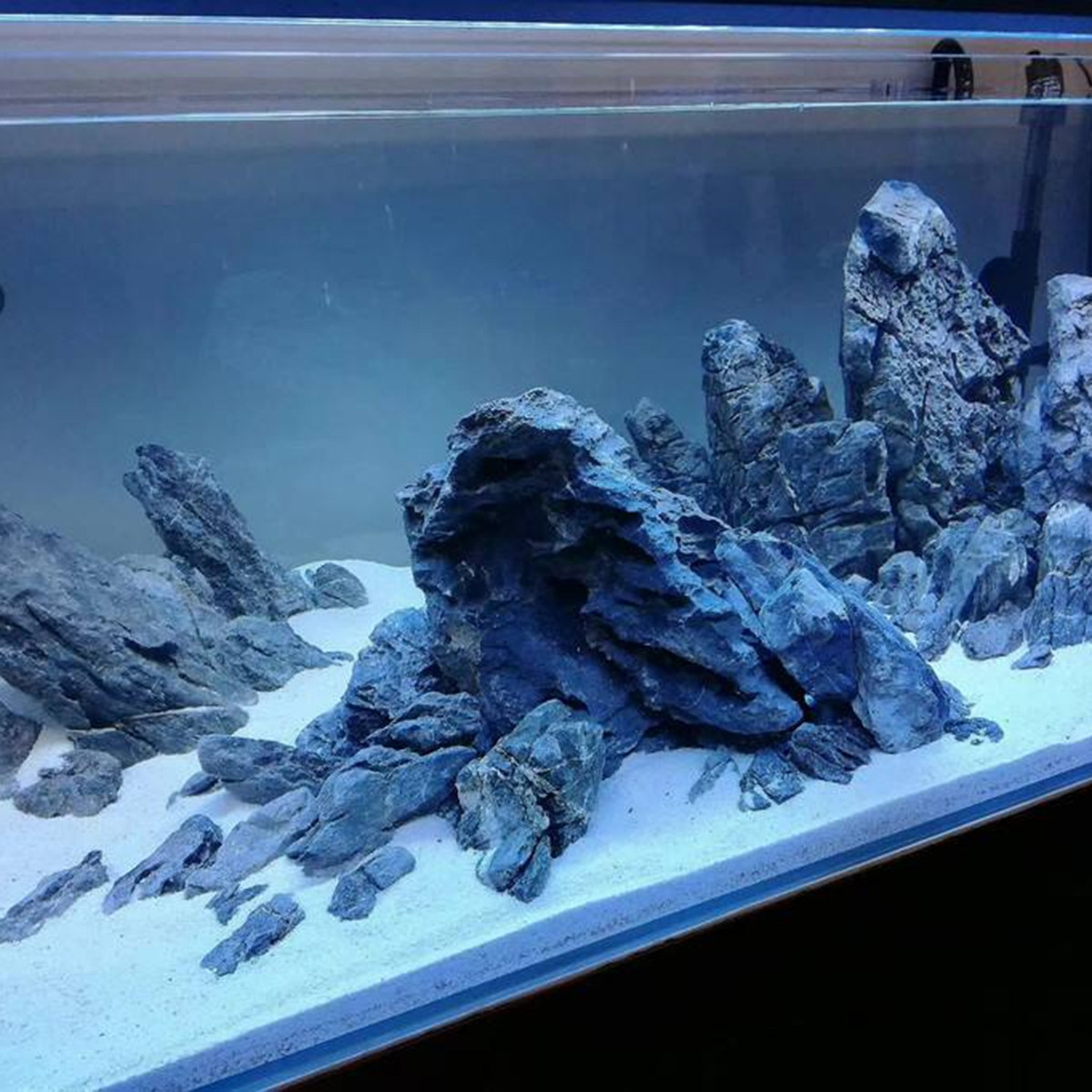 500G Beyaz Güzellik Kuvars Kum - Aquarium Sand White incelemesi ve fiyatı