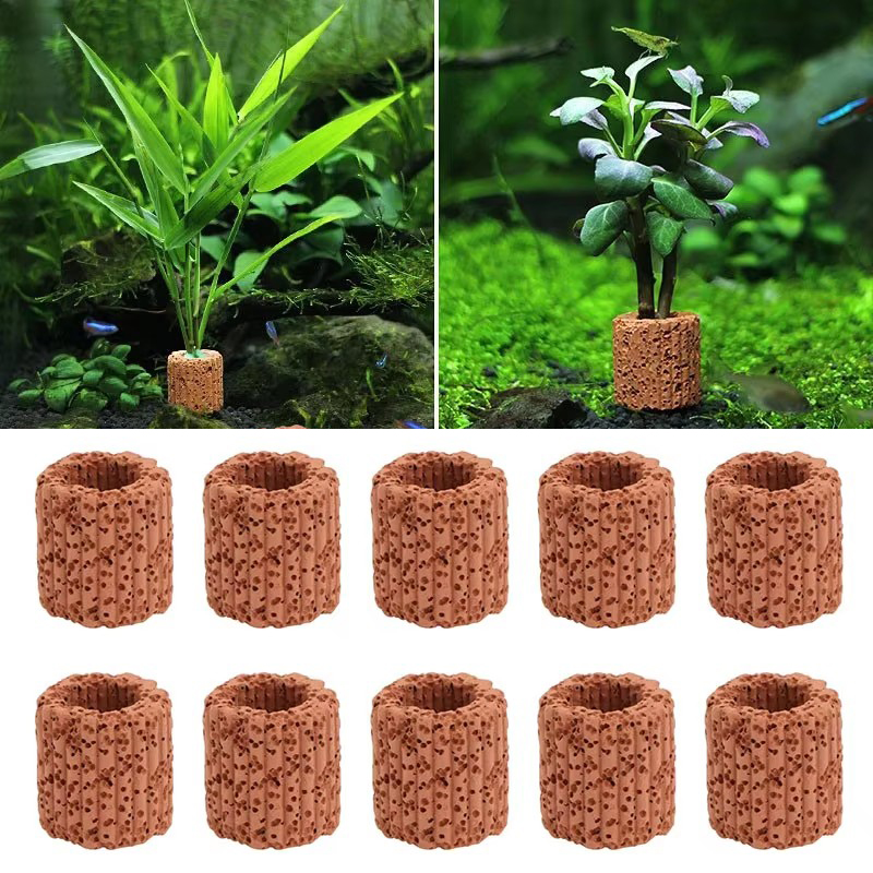 Su bitkisi sabit halka akvaryu - Aquarium Plant Live incelemesi ve fiyatı