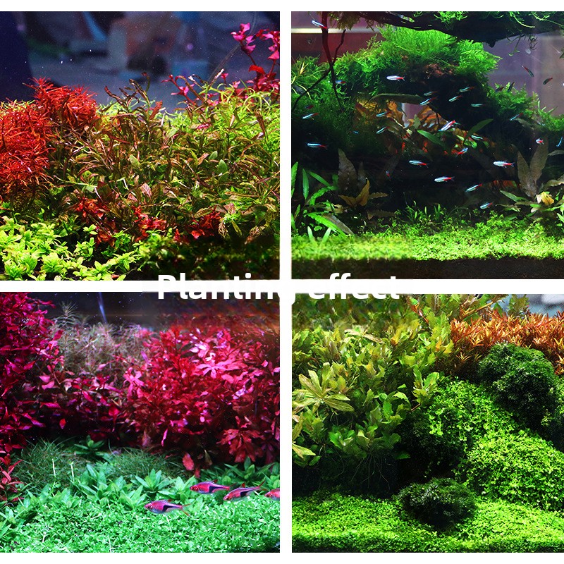 SYSENCIAGA Dikilmiş Akvaryum S - Planted Aquarium Fertilizer incelemesi ve fiyatı