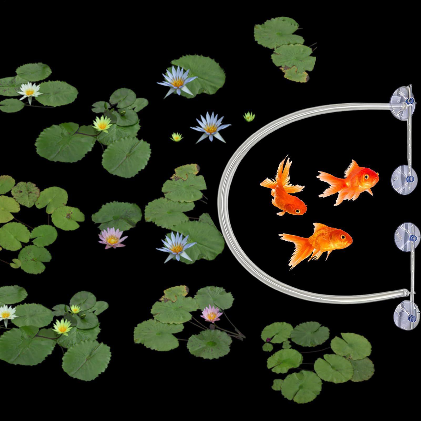 Yüzen Bitki Çiti Otomatik Yüks - Planted Aquarium Tank Kit incelemesi ve fiyatı