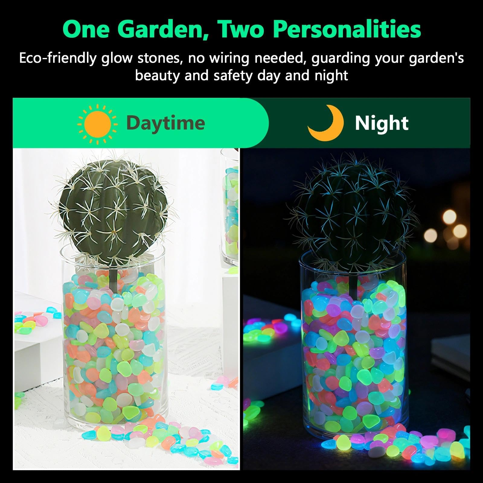 Saksı Bitkileri Karanlıkta Par - Aquarium Planted Aquarium incelemesi ve fiyatı