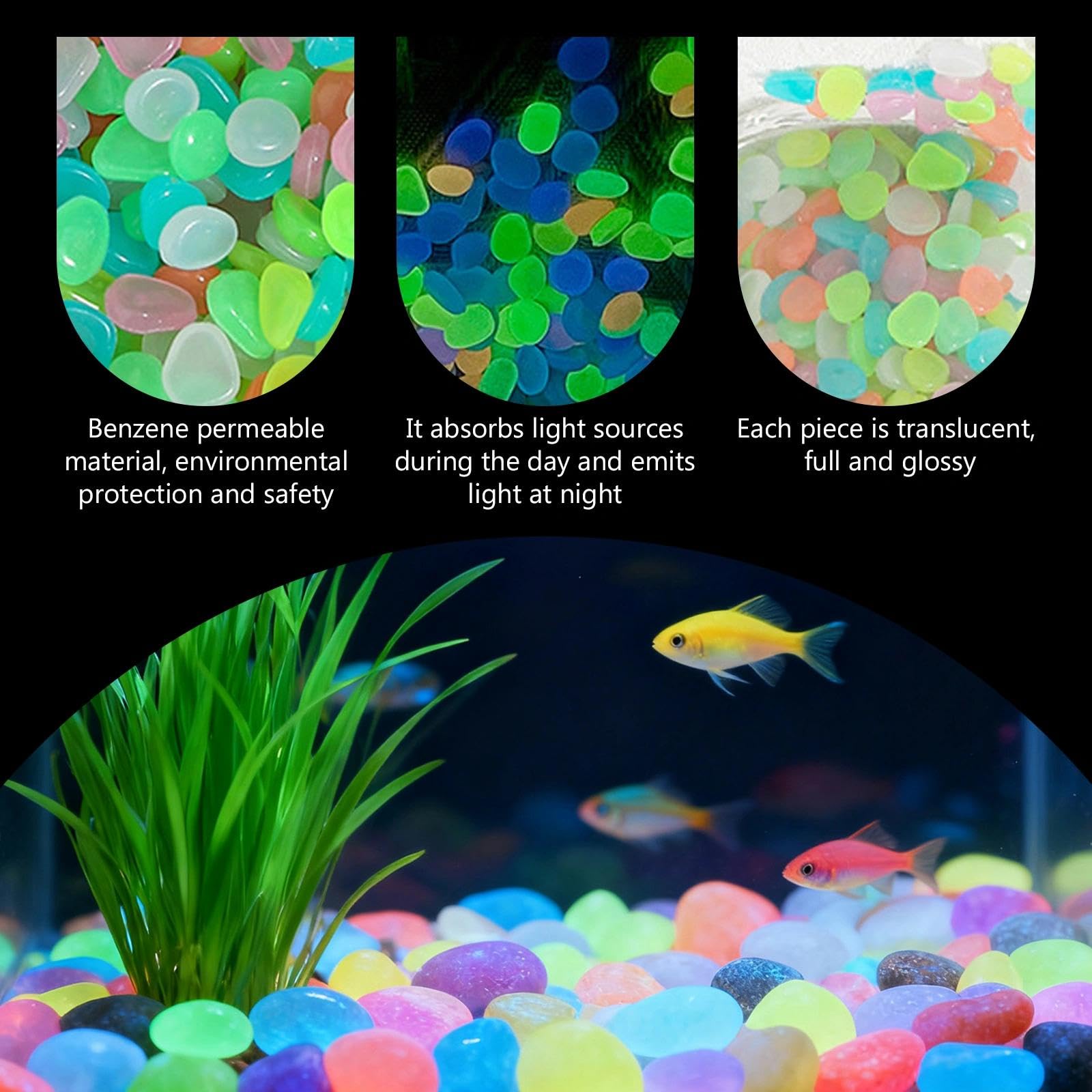 Saksı Bitkileri Karanlıkta Par - Aquarium Planted Aquarium incelemesi ve fiyatı