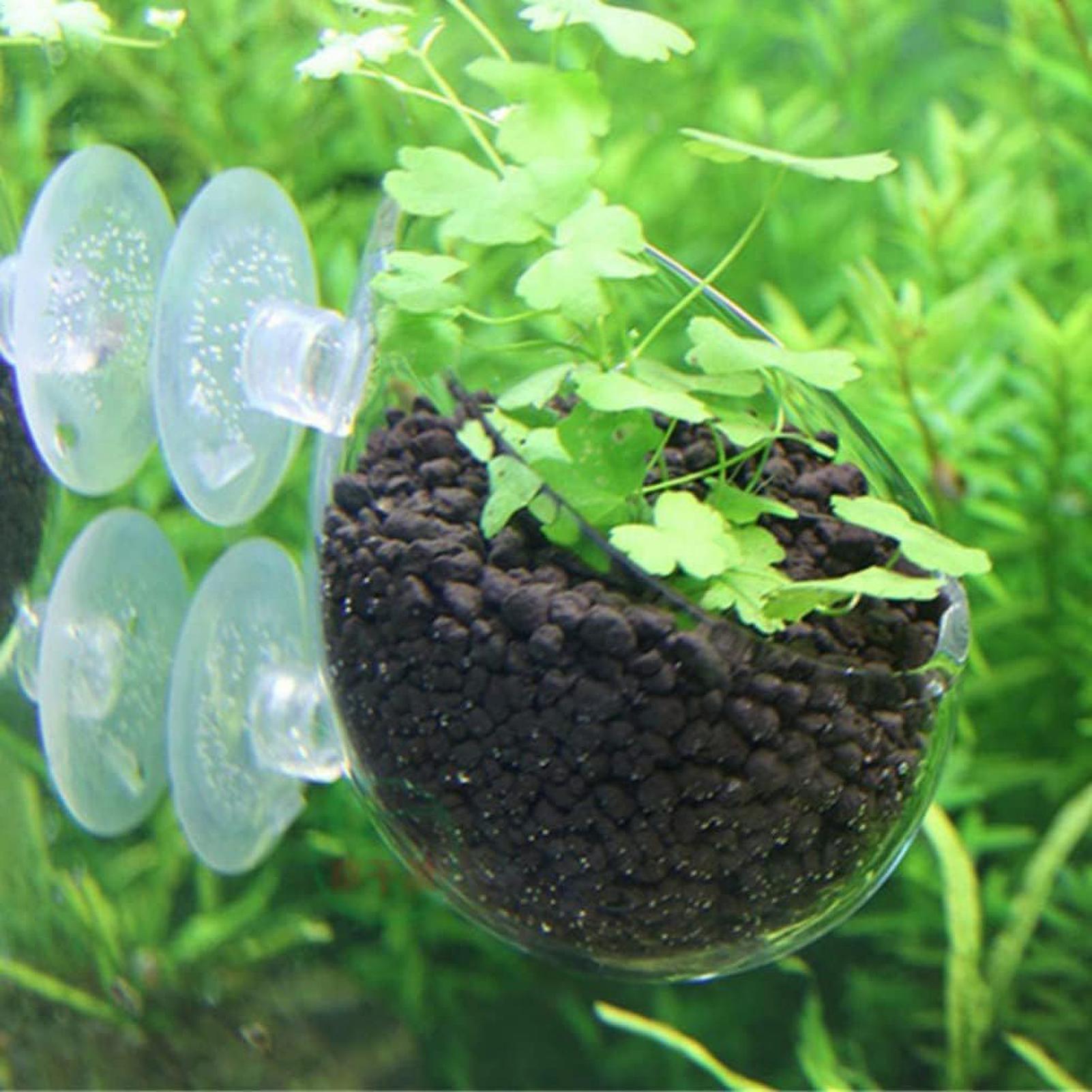 Vakumlu Bardaklı Akvaryum Cam  - Aquarium Plant Vine incelemesi ve fiyatı