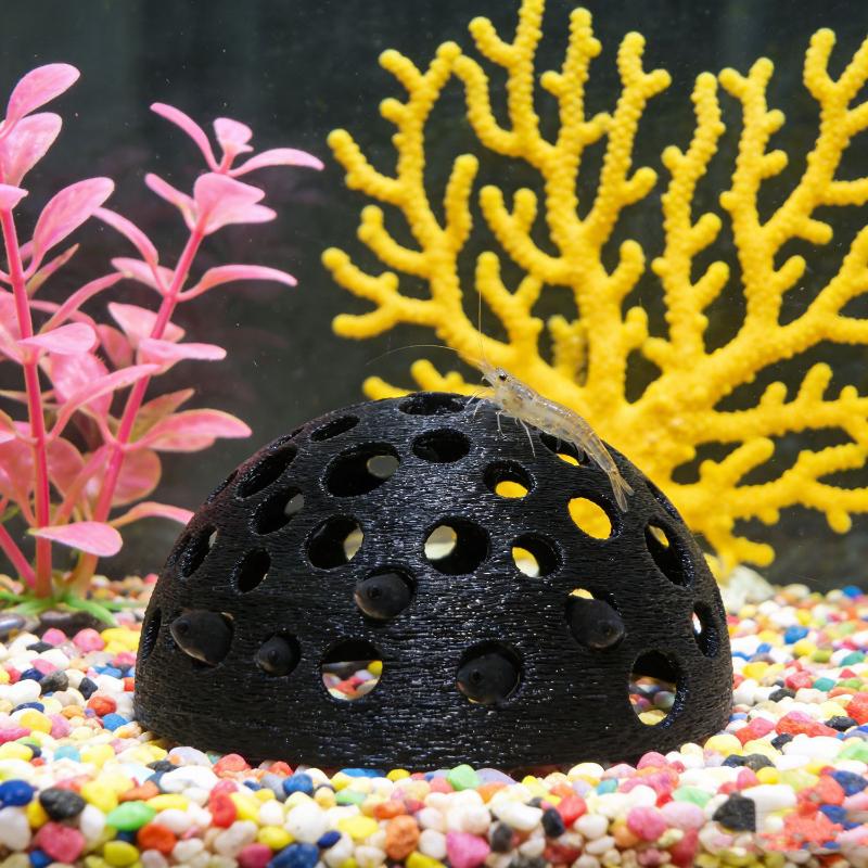 Küçük Balıklar İçin Akvaryum G - Aquarium Plant Live incelemesi ve fiyatı