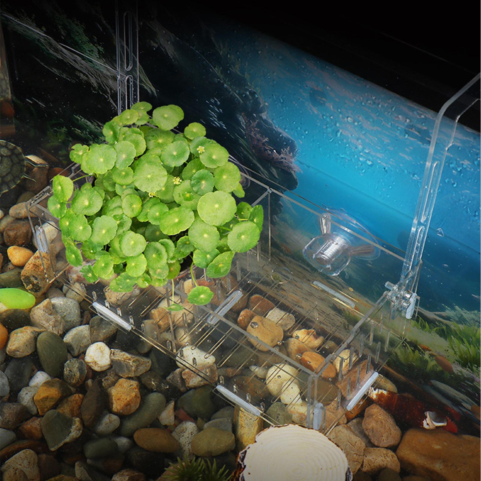 Akrilik Akvaryum Bitki Tutucu  - Aquarium Plant Vine incelemesi ve fiyatı