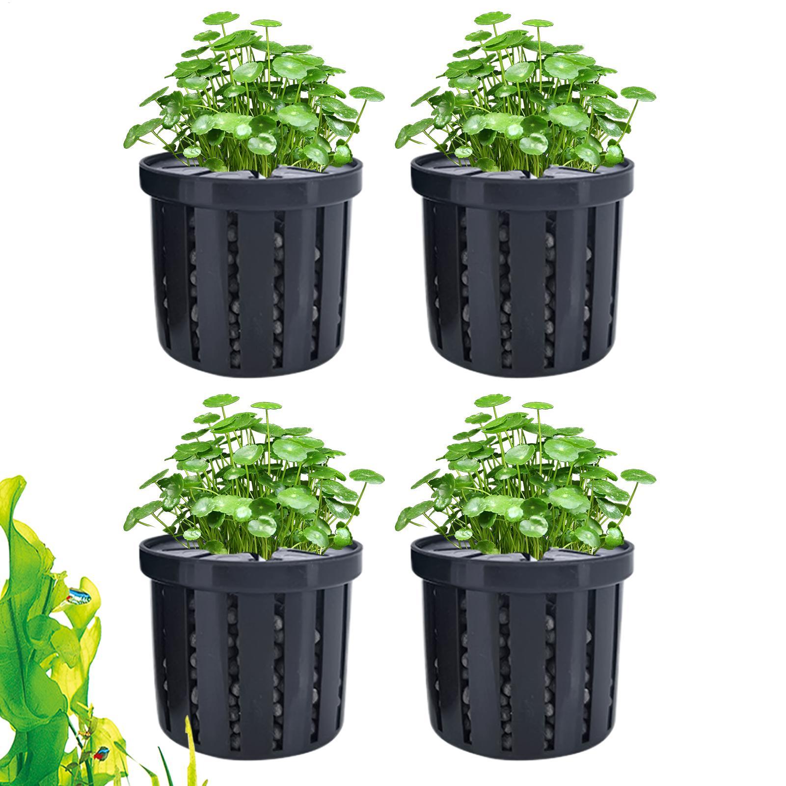 4 adet akvaryum saksı süngeri  - Aquarium Plant Live incelemesi ve fiyatı