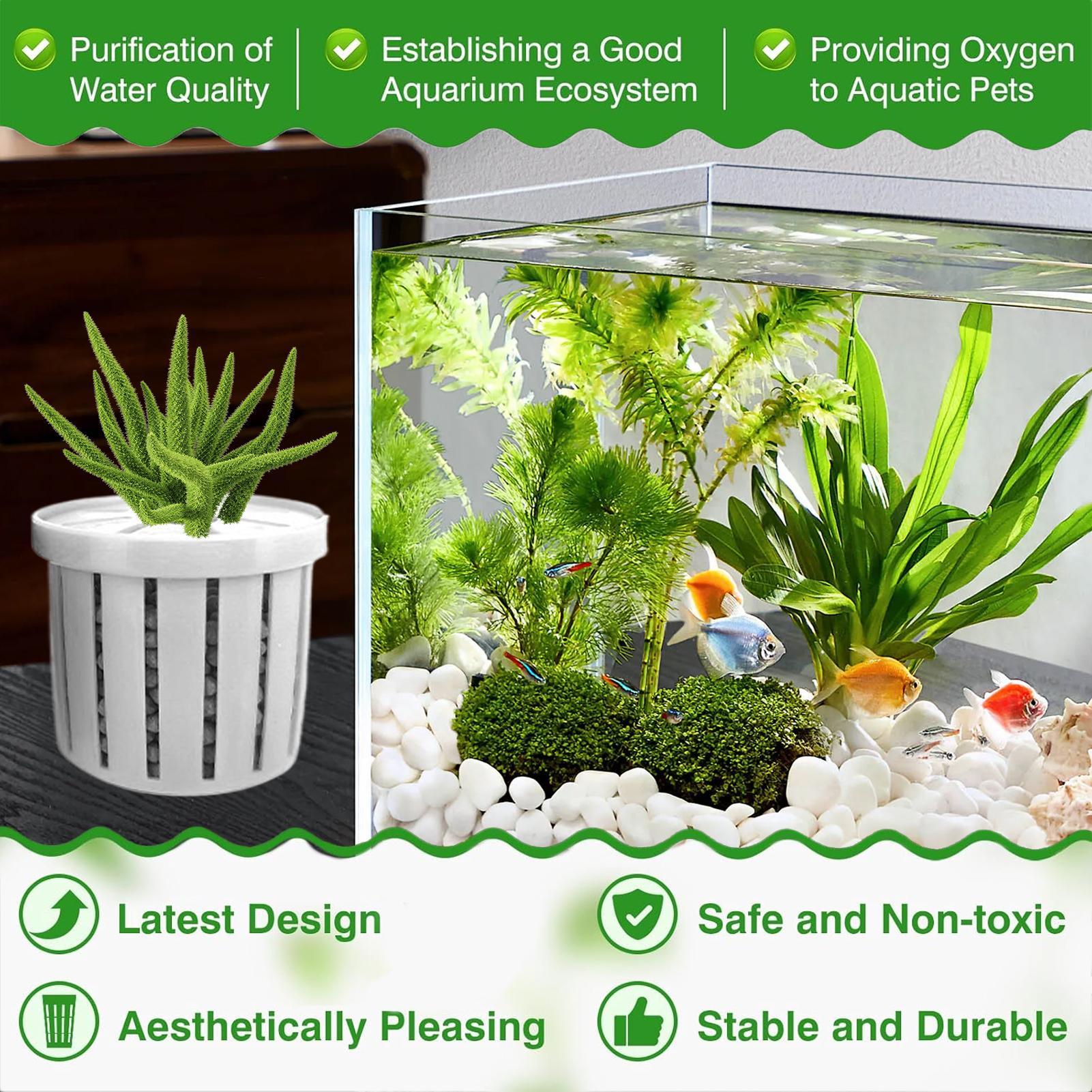 4 adet akvaryum saksı süngeri  - Aquarium Plant Live incelemesi ve fiyatı