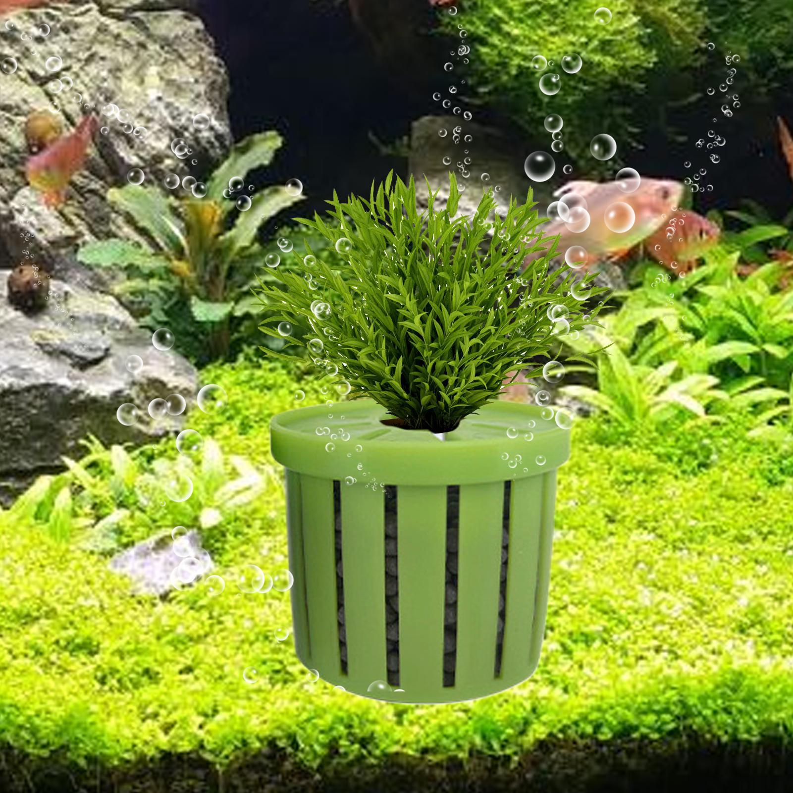 4 adet akvaryum saksı süngeri  - Aquarium Plant Live incelemesi ve fiyatı