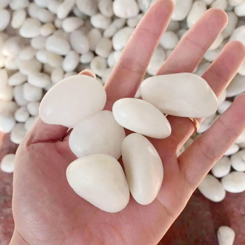 Doğal Beyaz Cilalı Nehir Taşla - Aquarium Sand White incelemesi ve fiyatı