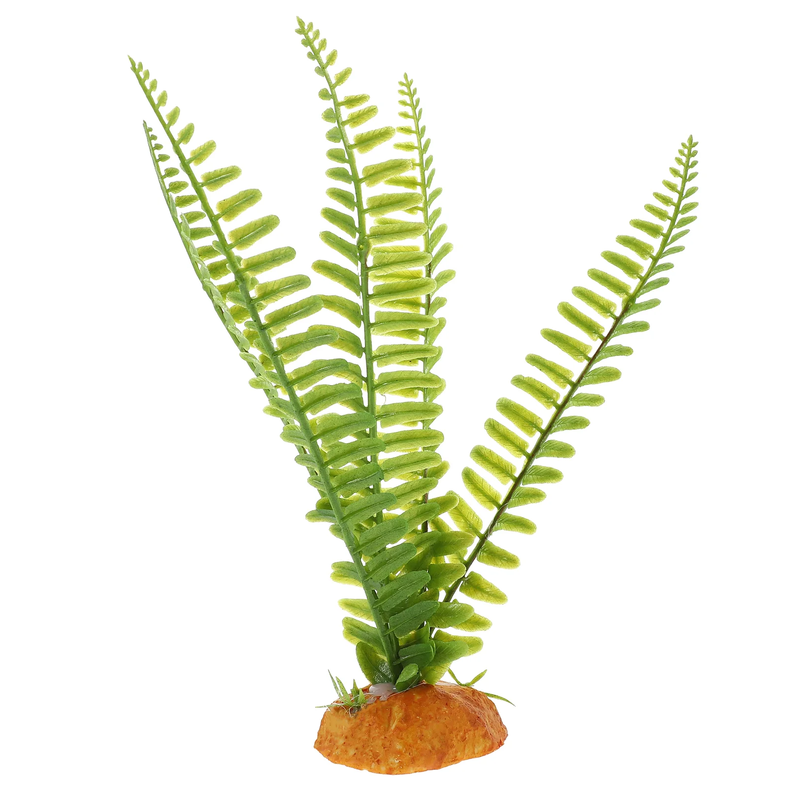 Sürüngen Bitkiler Teraryum Sar - Aquarium Plant Vine incelemesi ve fiyatı