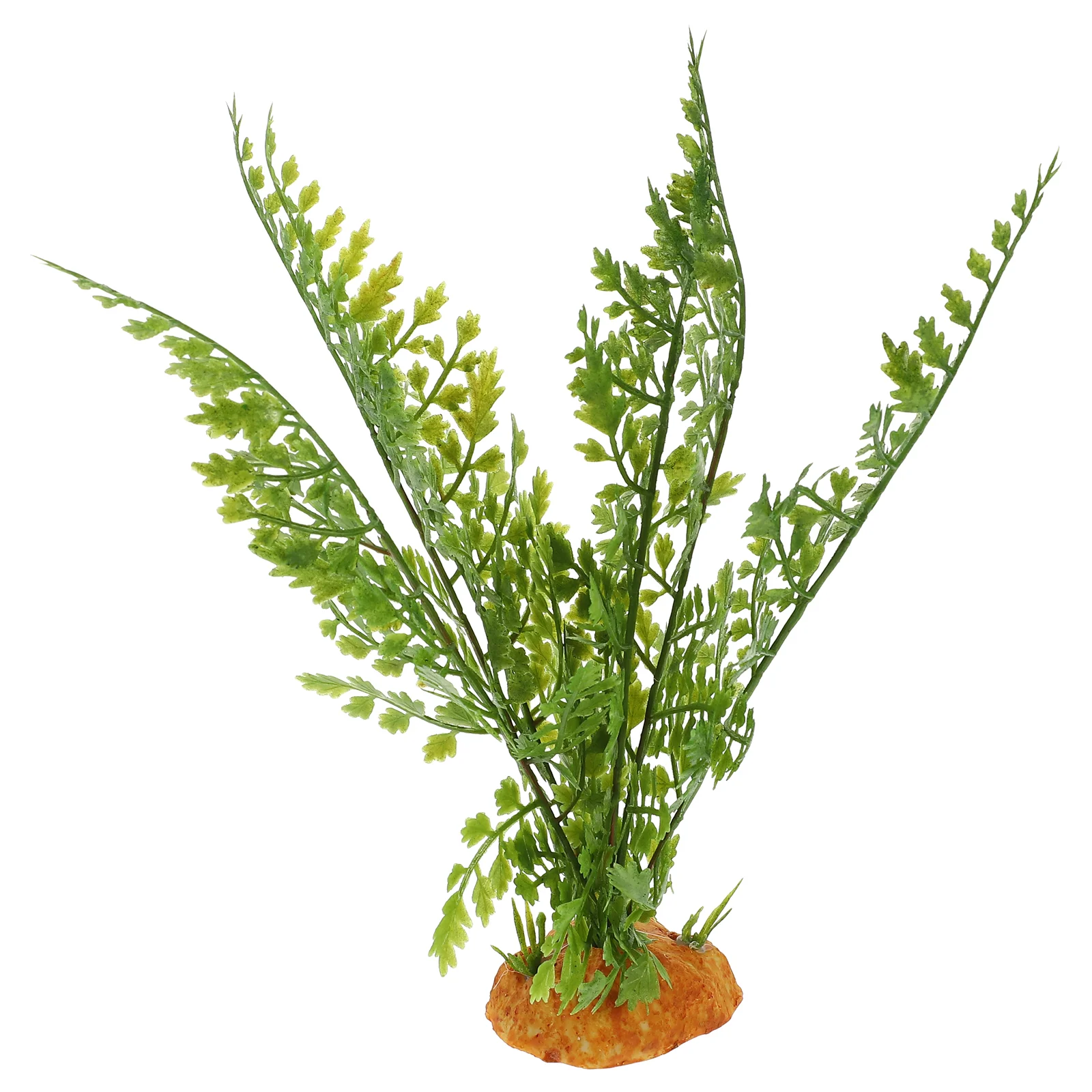 Sürüngen Bitkiler Teraryum Sar - Aquarium Plant Vine incelemesi ve fiyatı