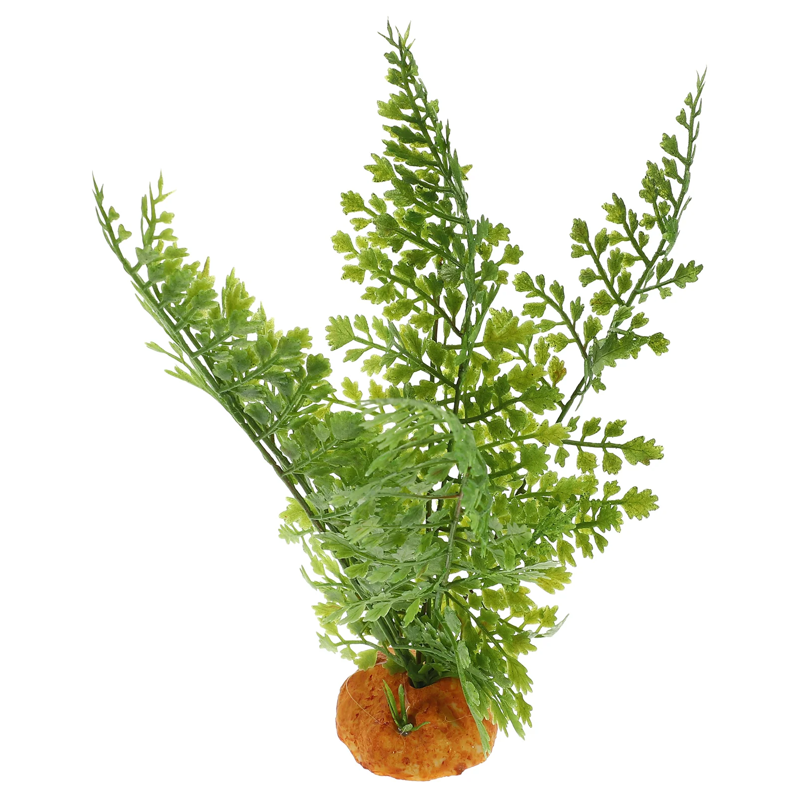 Sürüngen Bitkiler Teraryum Sar - Aquarium Plant Vine incelemesi ve fiyatı
