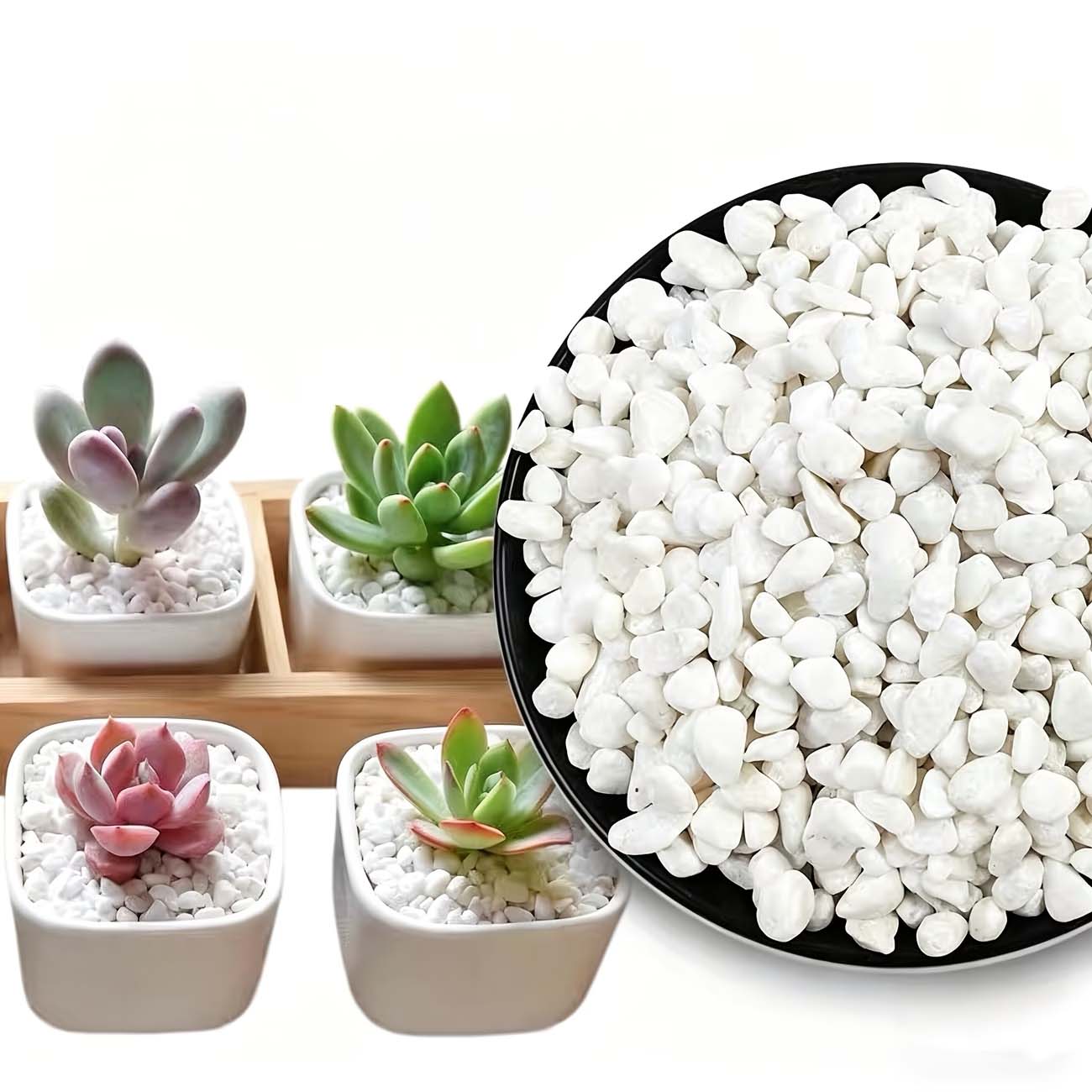 100/200G Beyaz Dekoratif Taşla - Aquarium Sand White incelemesi ve fiyatı
