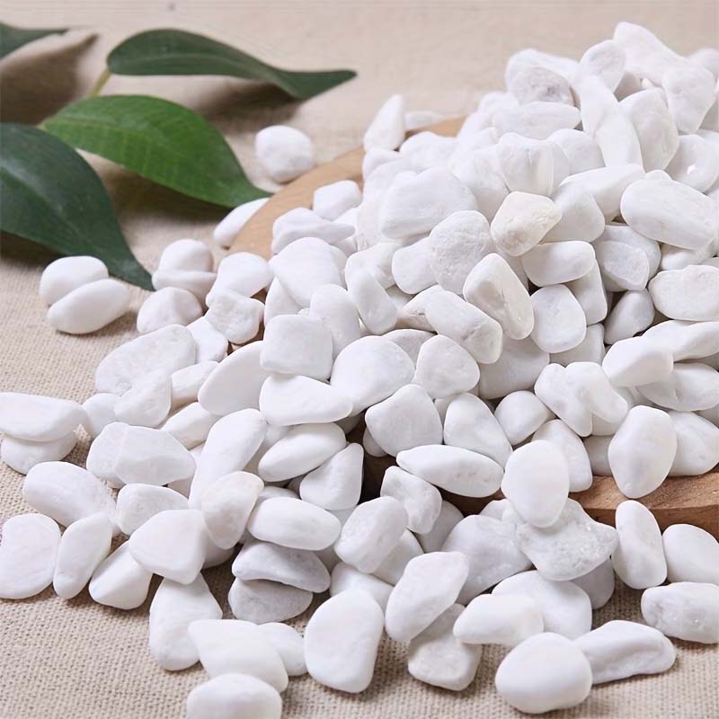 100/200G Beyaz Dekoratif Taşla - Aquarium Sand White incelemesi ve fiyatı