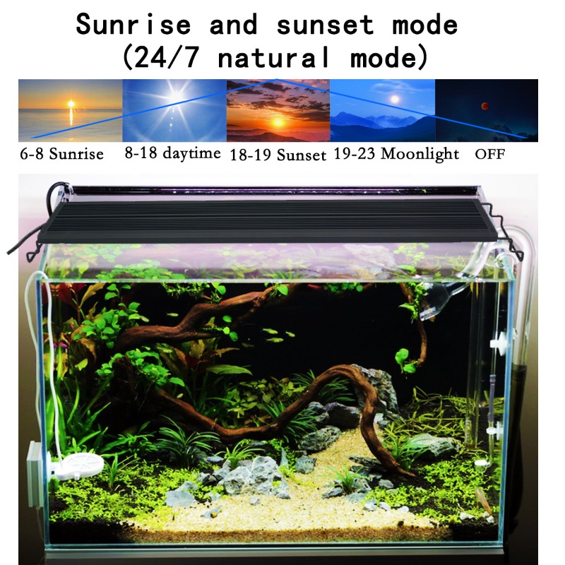 LED Balık Tankı Lambası Tam Sp - Aquarium Planted Aquarium incelemesi ve fiyatı