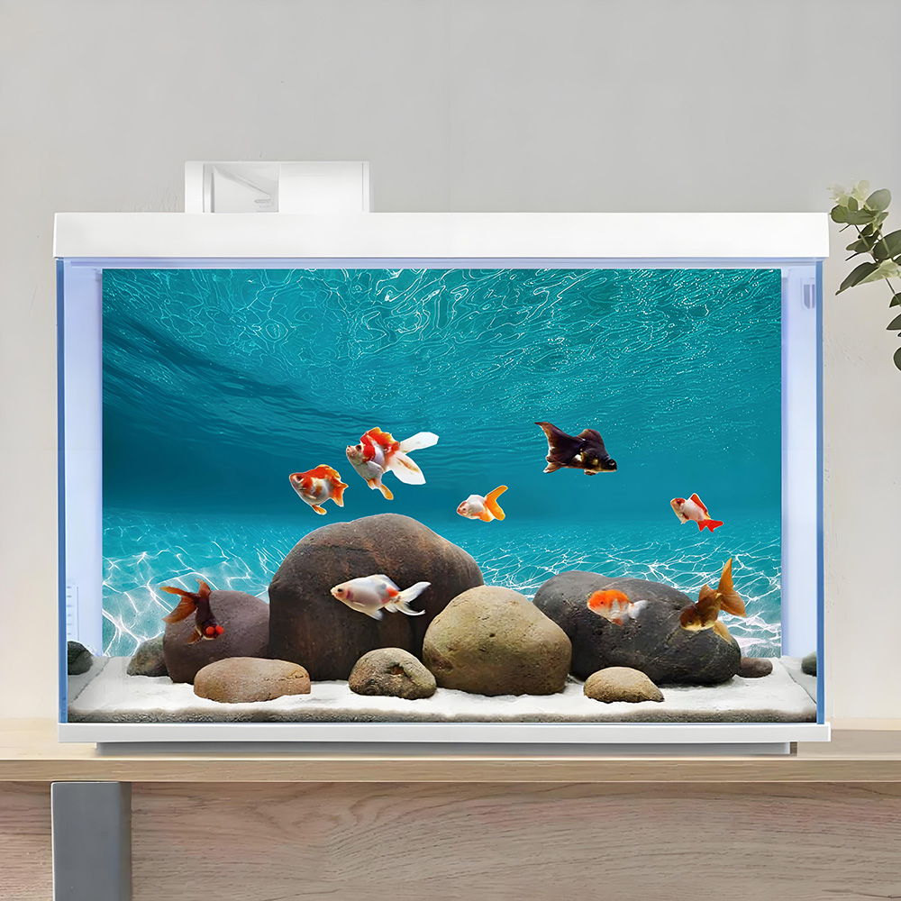 Güneş ışığıyla parlayan beyaz  - Aquarium Sand White incelemesi ve fiyatı