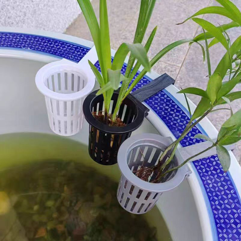 1/3 adet akvaryum bitki sepeti - Aquarium Plant Live incelemesi ve fiyatı