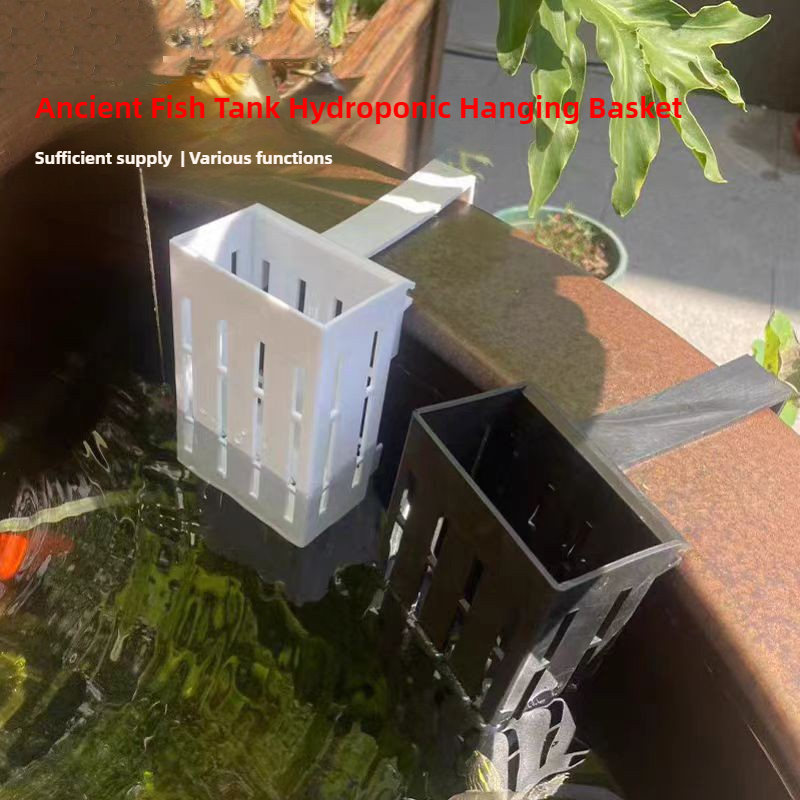 1/3 adet akvaryum bitki sepeti - Aquarium Plant Live incelemesi ve fiyatı