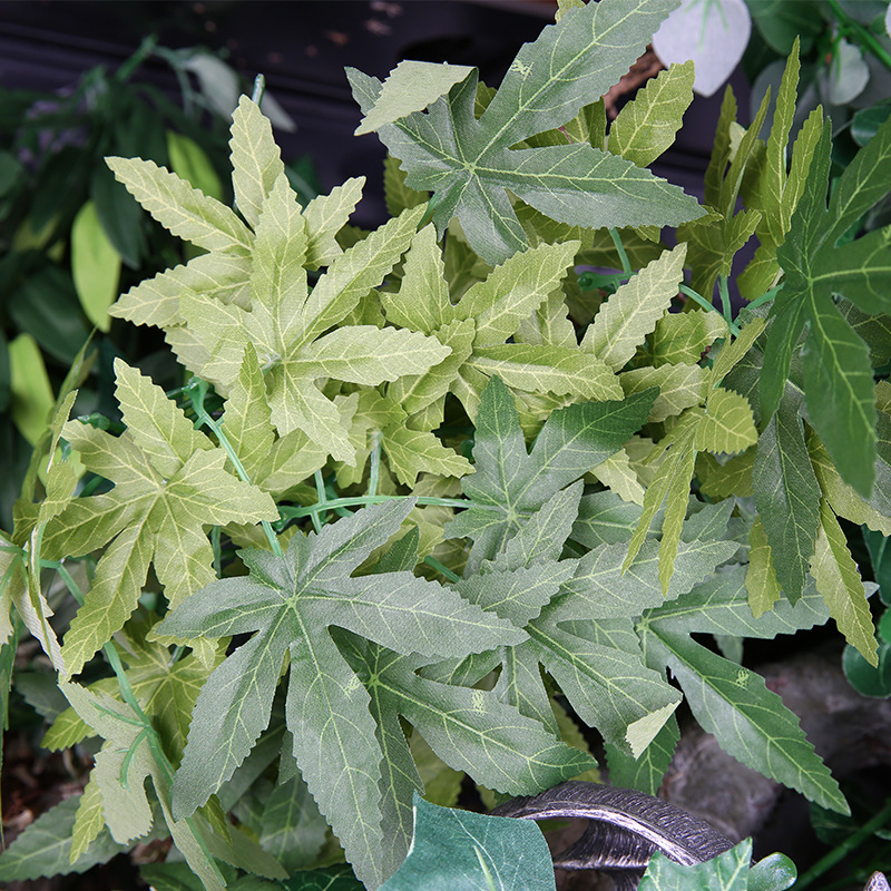 Reptizoo Sürüngen Teraryumu ve - Aquarium Plant Vine incelemesi ve fiyatı