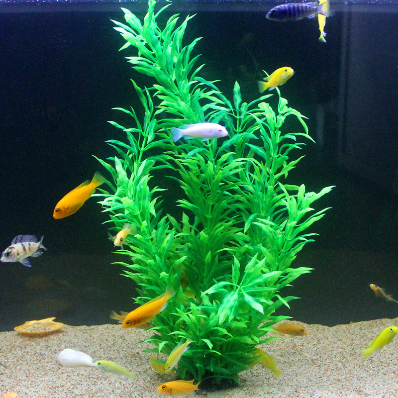 50 CM Yapay Balık Tankı Nadir  - Planted Aquarium Equipment incelemesi ve fiyatı