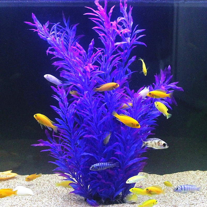 50 CM Yapay Balık Tankı Nadir  - Planted Aquarium Equipment incelemesi ve fiyatı