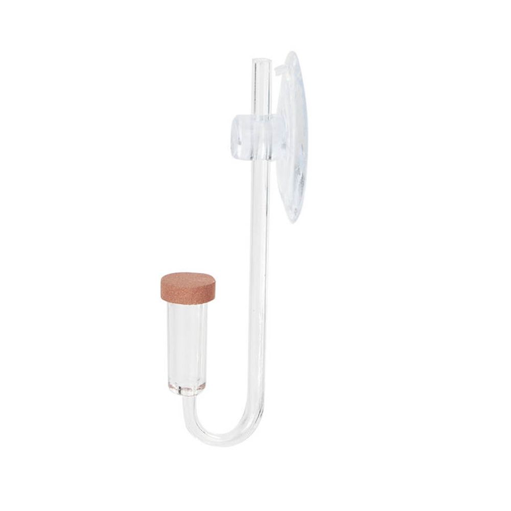 Akrilik Mini Balık Tankı Canlı - Aquarium Plant Live incelemesi ve fiyatı