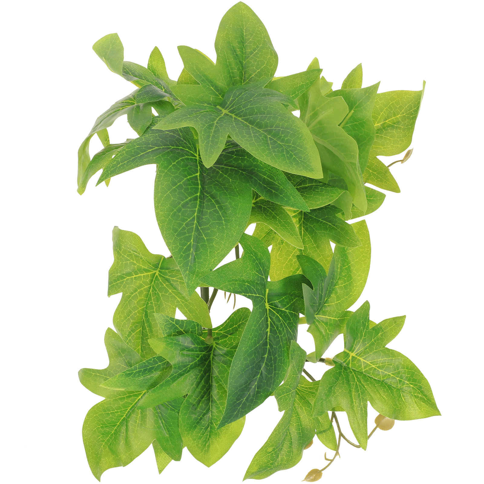 Sürüngen Teraryumu Bitki Duvar - Aquarium Plant Vine incelemesi ve fiyatı