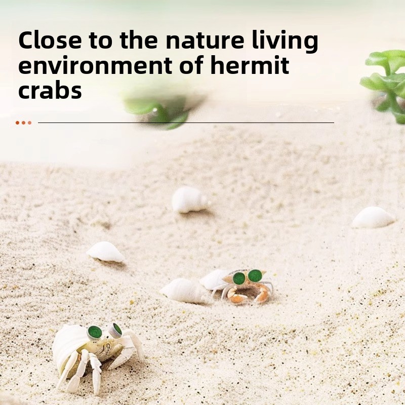FKSC Hermit Crab Kum ve Akvary - Aquarium Sand White incelemesi ve fiyatı