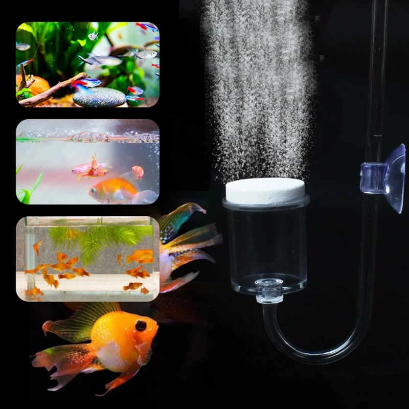 4 adet Set DIY CO2 difüzör içi - Aquarium Plant Live incelemesi ve fiyatı