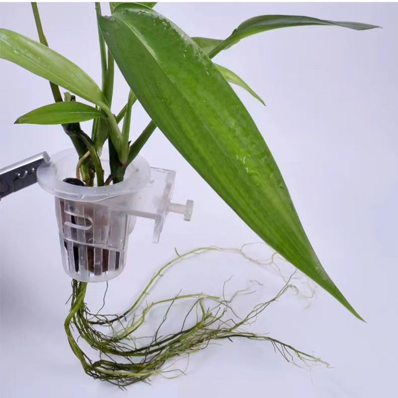 Akvaryum dikim sepeti hidropon - Aquarium Plant Live incelemesi ve fiyatı