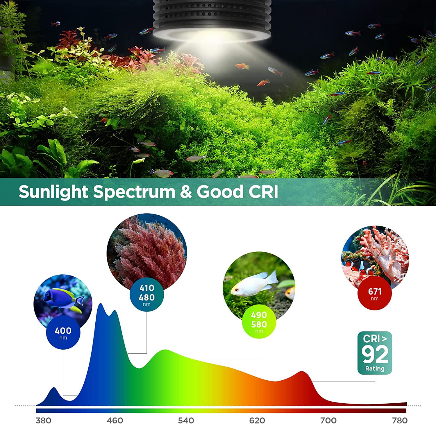 Lominie Asta 20 Tatlı Su 18 W  - Planted Aquarium Uv Light incelemesi ve fiyatı