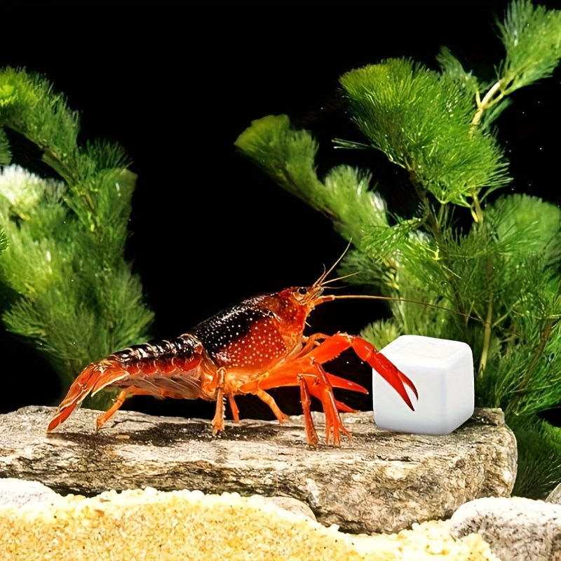 6 Adet Balık Tankı Kalsiyum Bl - Aquarium Plant Live incelemesi ve fiyatı