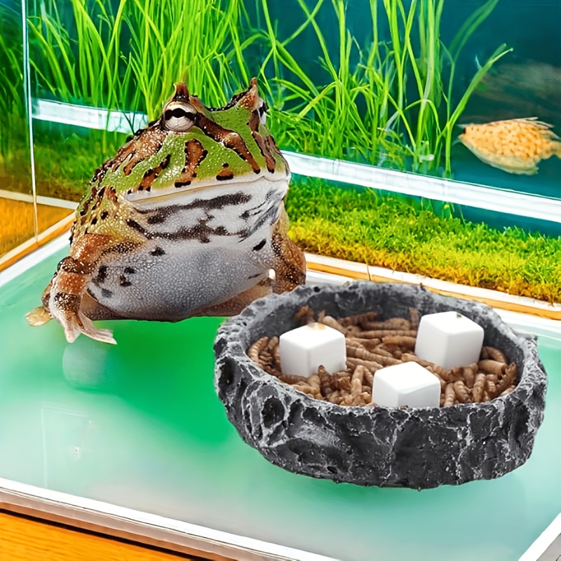 6 Adet Balık Tankı Kalsiyum Bl - Aquarium Plant Live incelemesi ve fiyatı