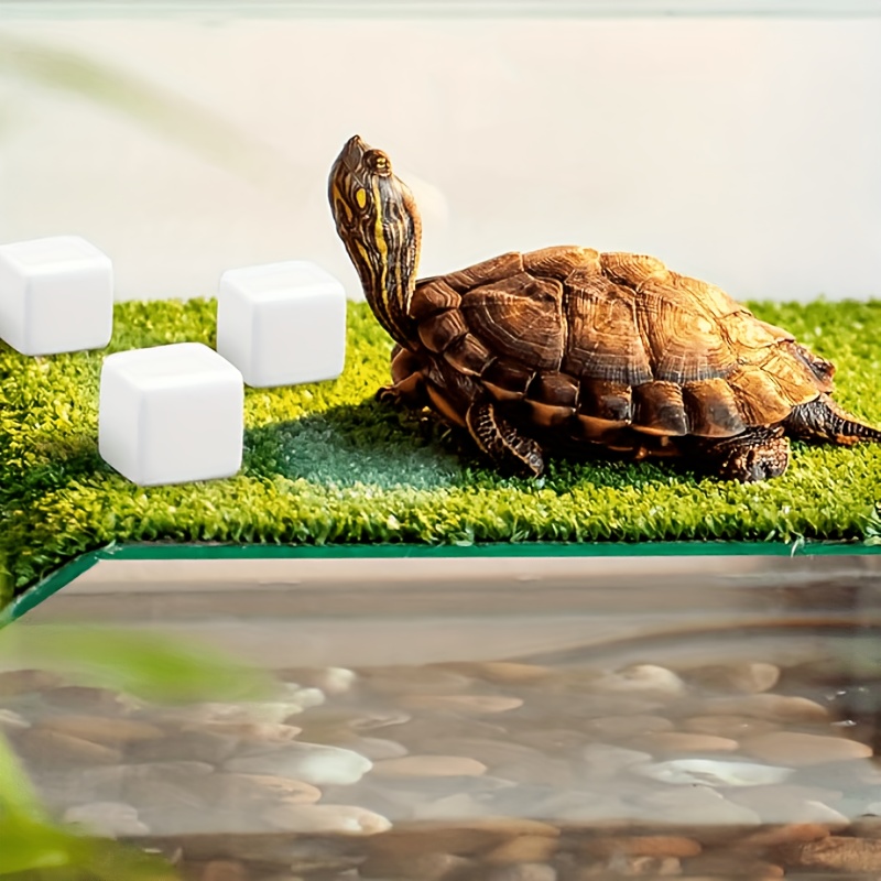 6 Adet Balık Tankı Kalsiyum Bl - Aquarium Plant Live incelemesi ve fiyatı